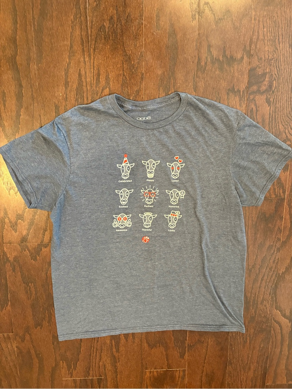 Chick-Fil-A Cow Appreciation Day Gray Graphic T-Shirt Size Large, Unisex, EUC